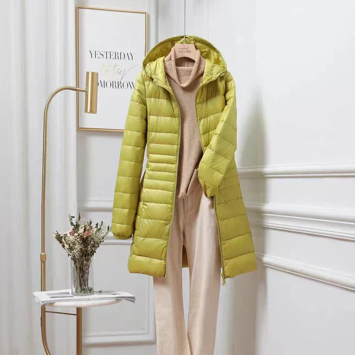 Giallo / 4XL